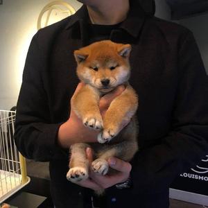 www女被❌❌喷水噜噜噜软件
